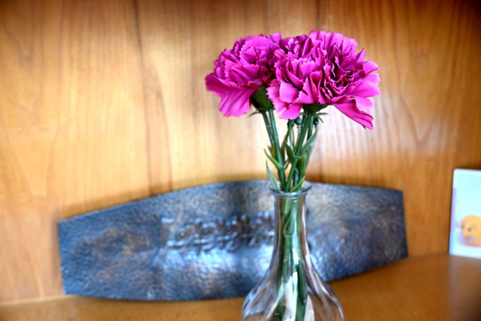 DSC_3725.JPG