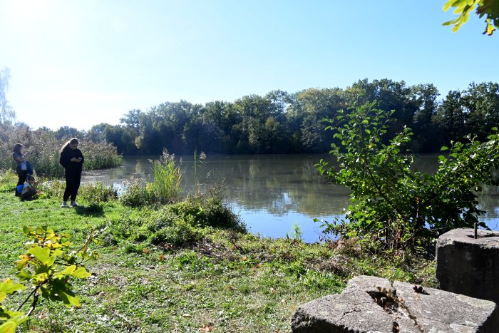 DSC_3973.JPG