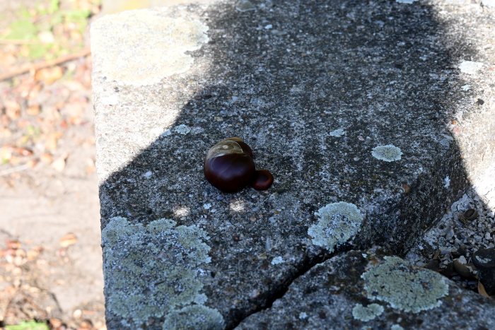 DSC_3974.JPG