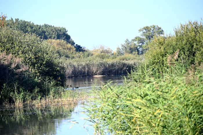 DSC_3987.JPG