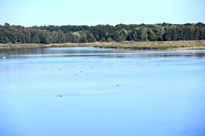 DSC_4010.JPG