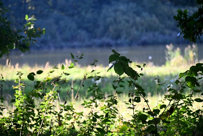 DSC_4044.JPG